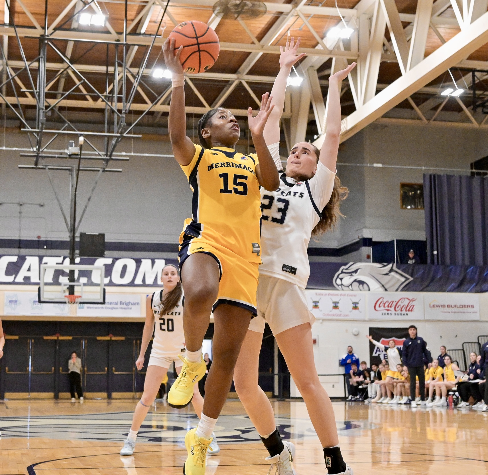 Women's Basketball at UNH