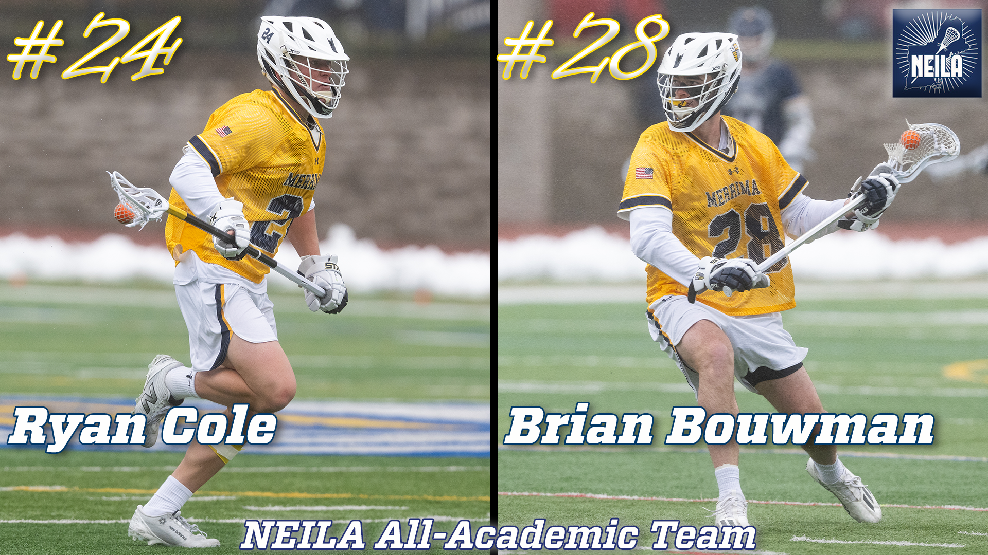 Bouwman and Cole NEILA