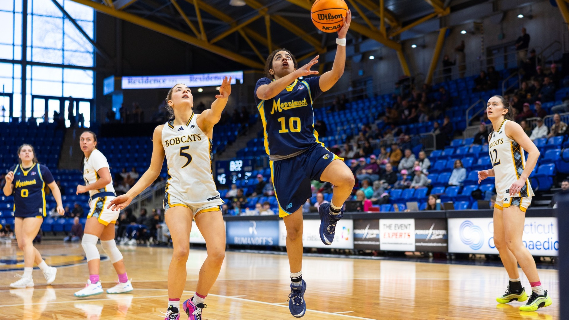 warriors at quinnipiac 1/31/26