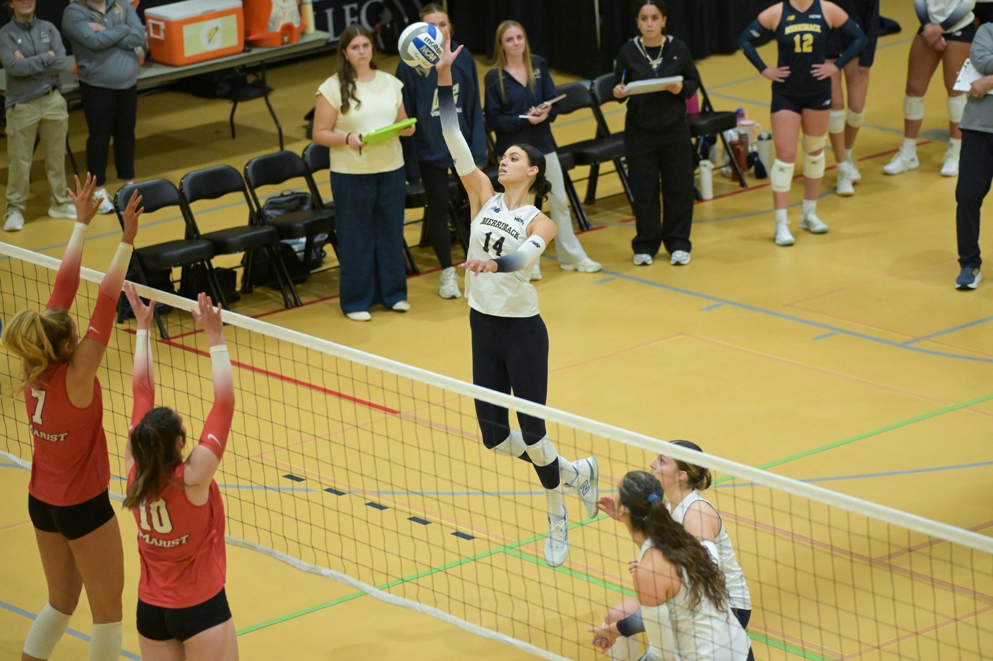 WVB