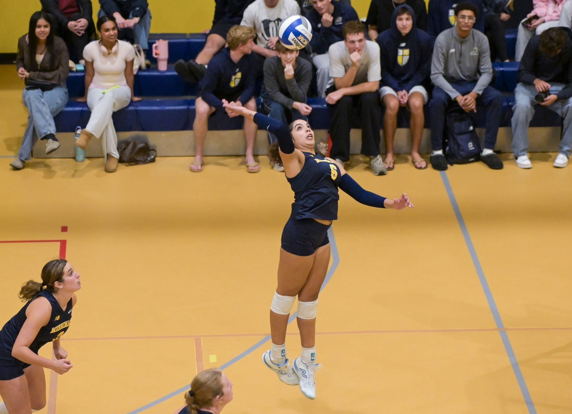 WVB