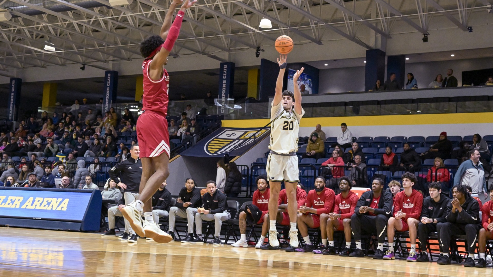 brogna drains a three against sacred heart 2/1/26