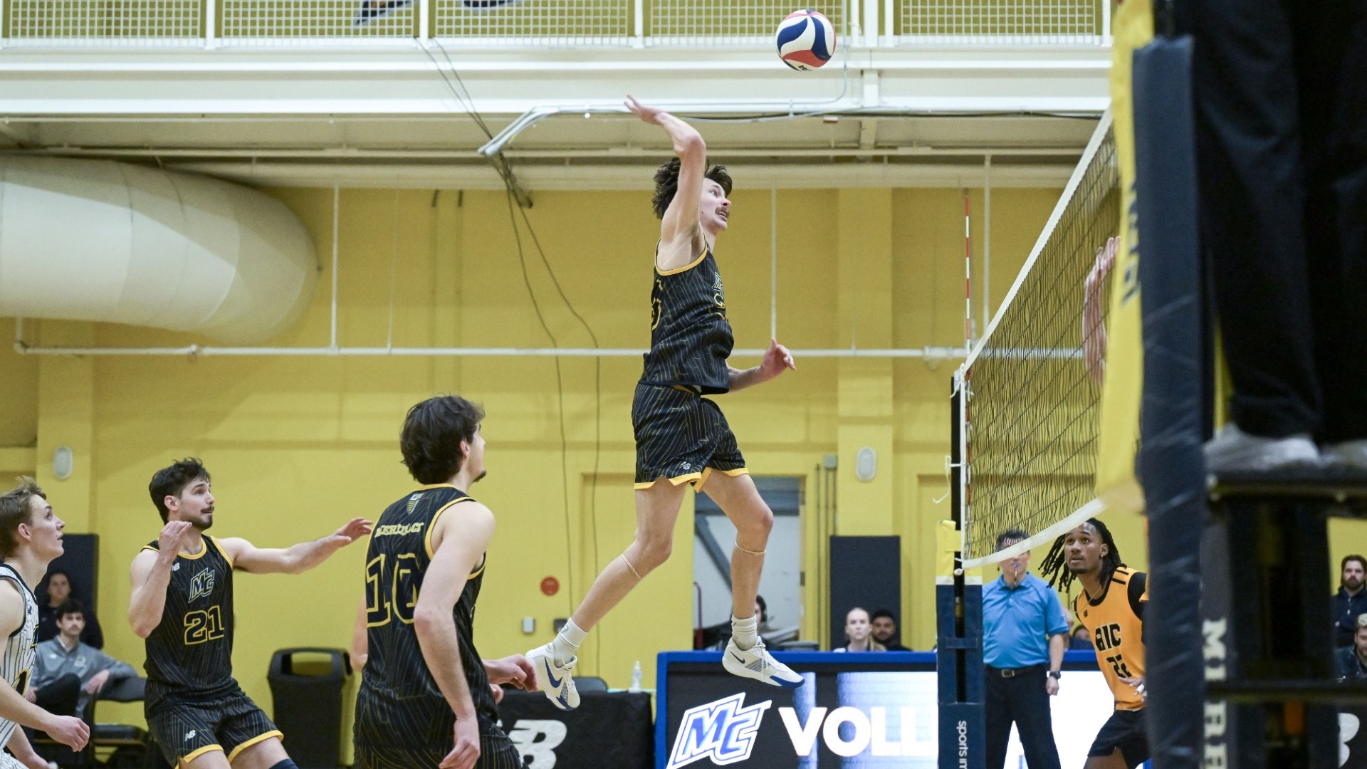 tidik vs aic 3/19/26