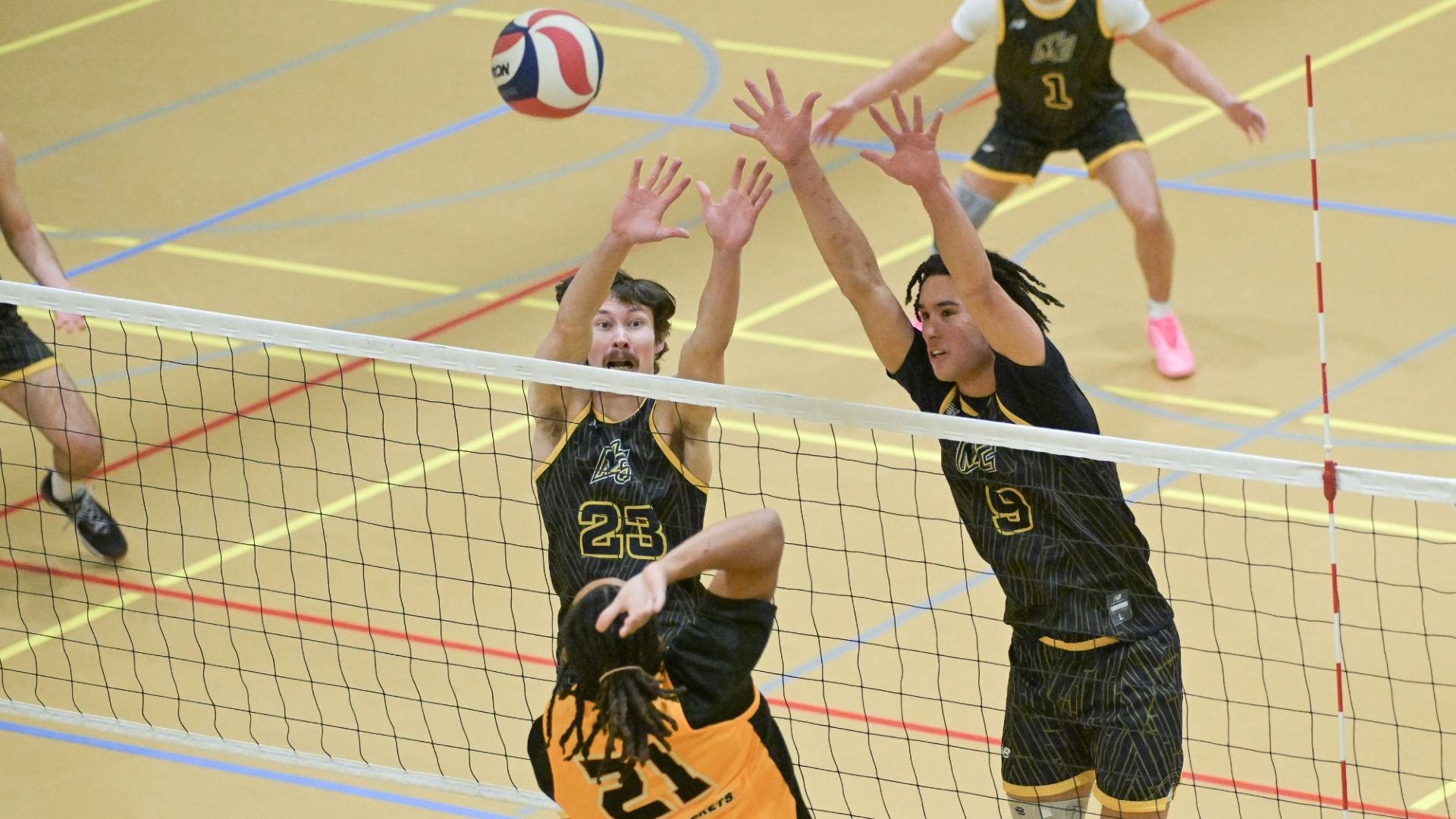 tidik and birkenbeuel vs AIC 3/19/26