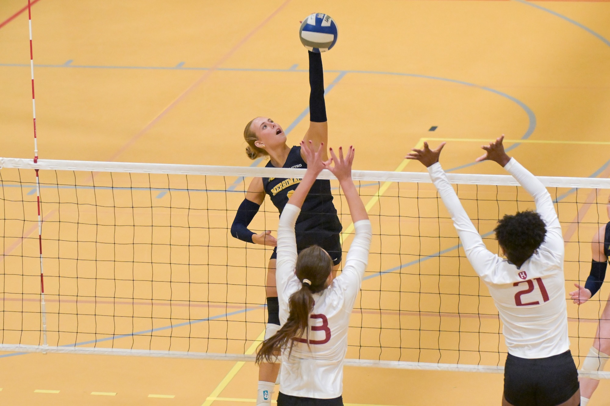 WVB