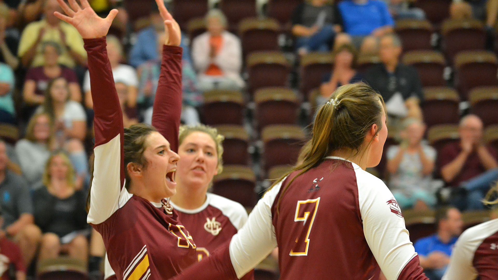 Natalee Todd Women's Volleyball Colorado Mesa University Athletics