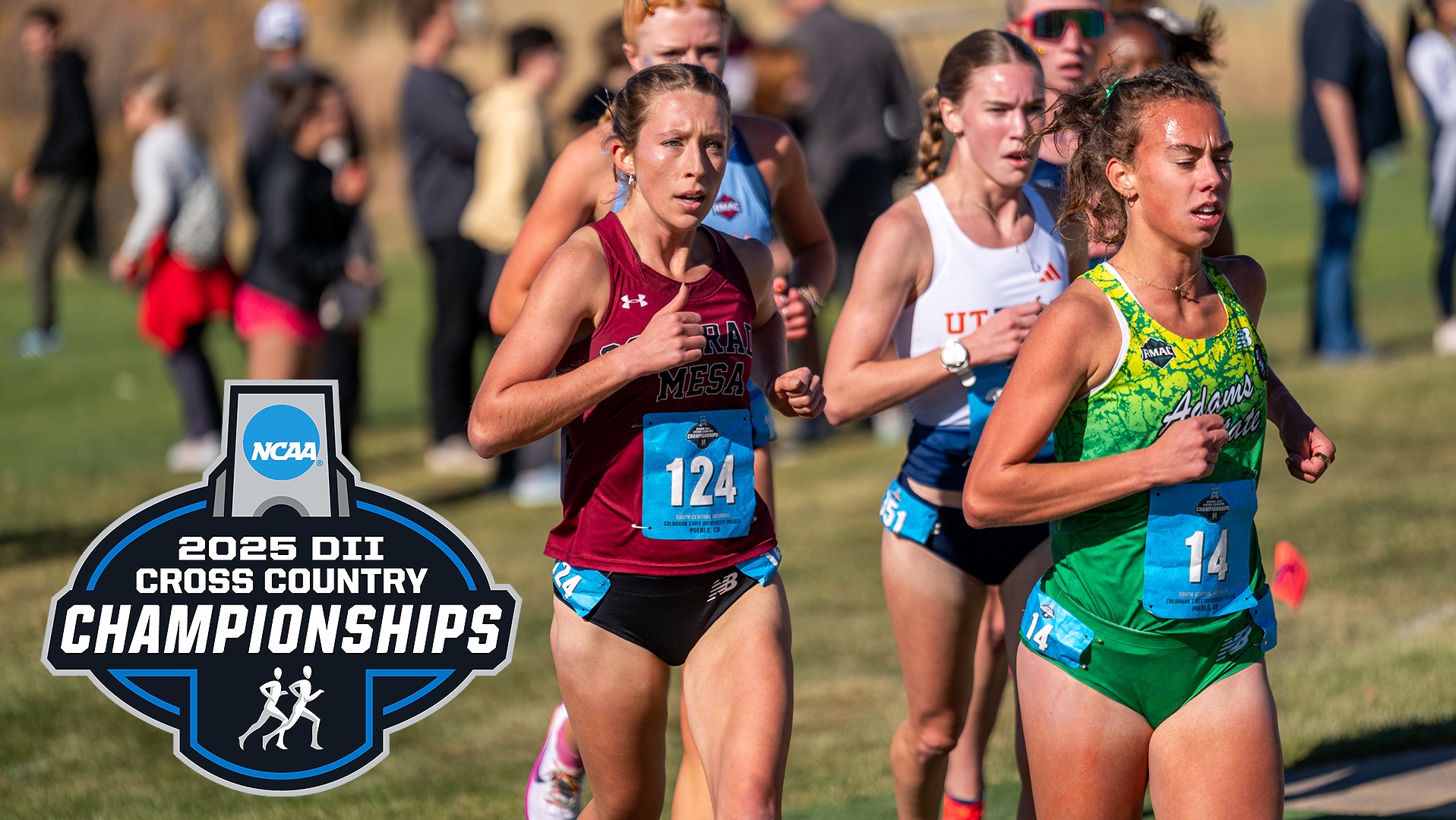 Staniszewski-RegionalwLogo