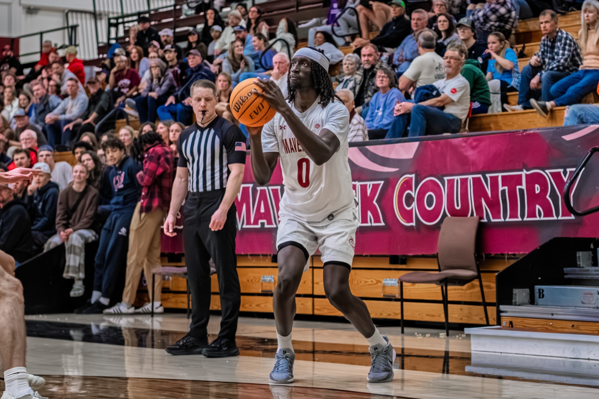 Laila vs. Westminster