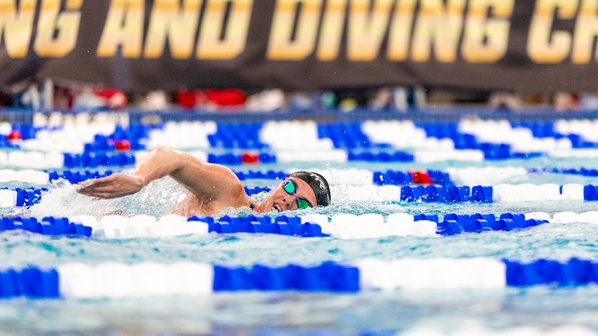 Sasivarevic-NCAA1000