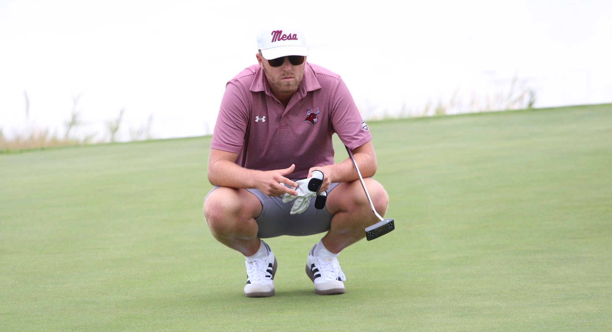 Cavarno-Montrose-ReadingGreen