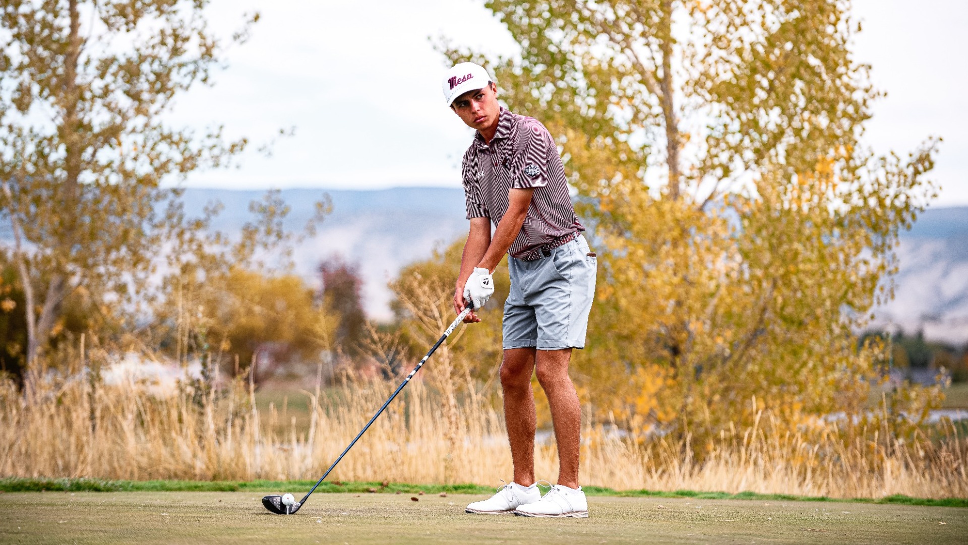 Everett-OnTee-Montrose