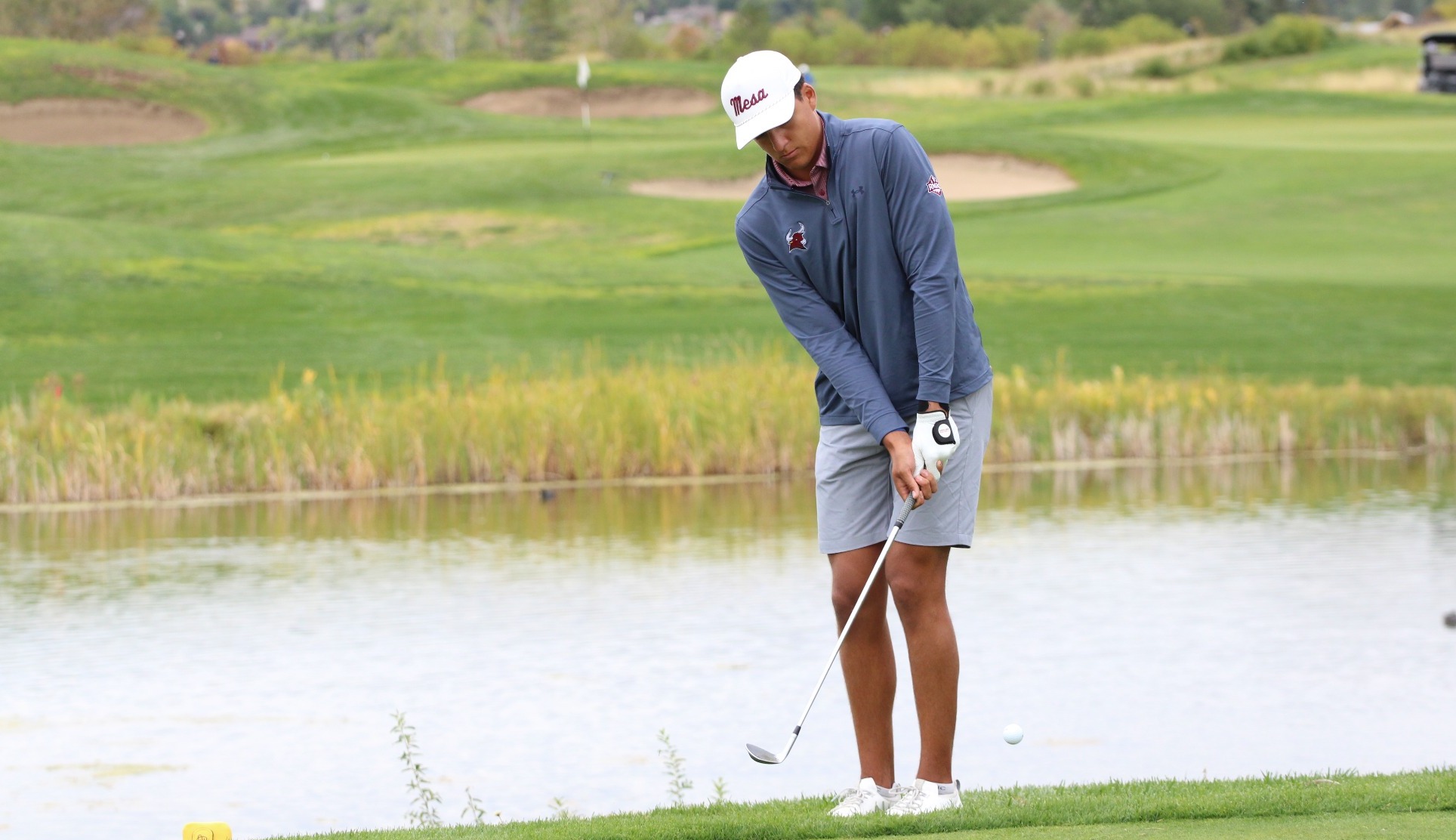 Lavalle-Chip-Montrose