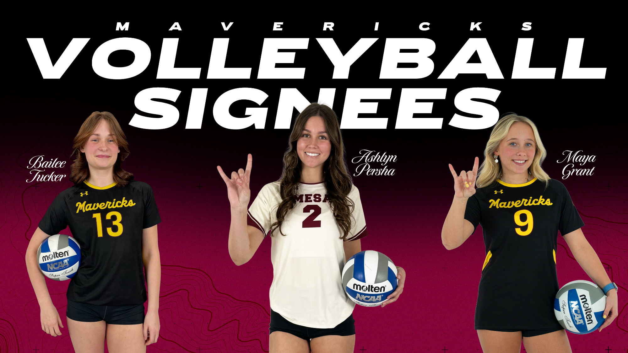 VolleyballSignees-April26