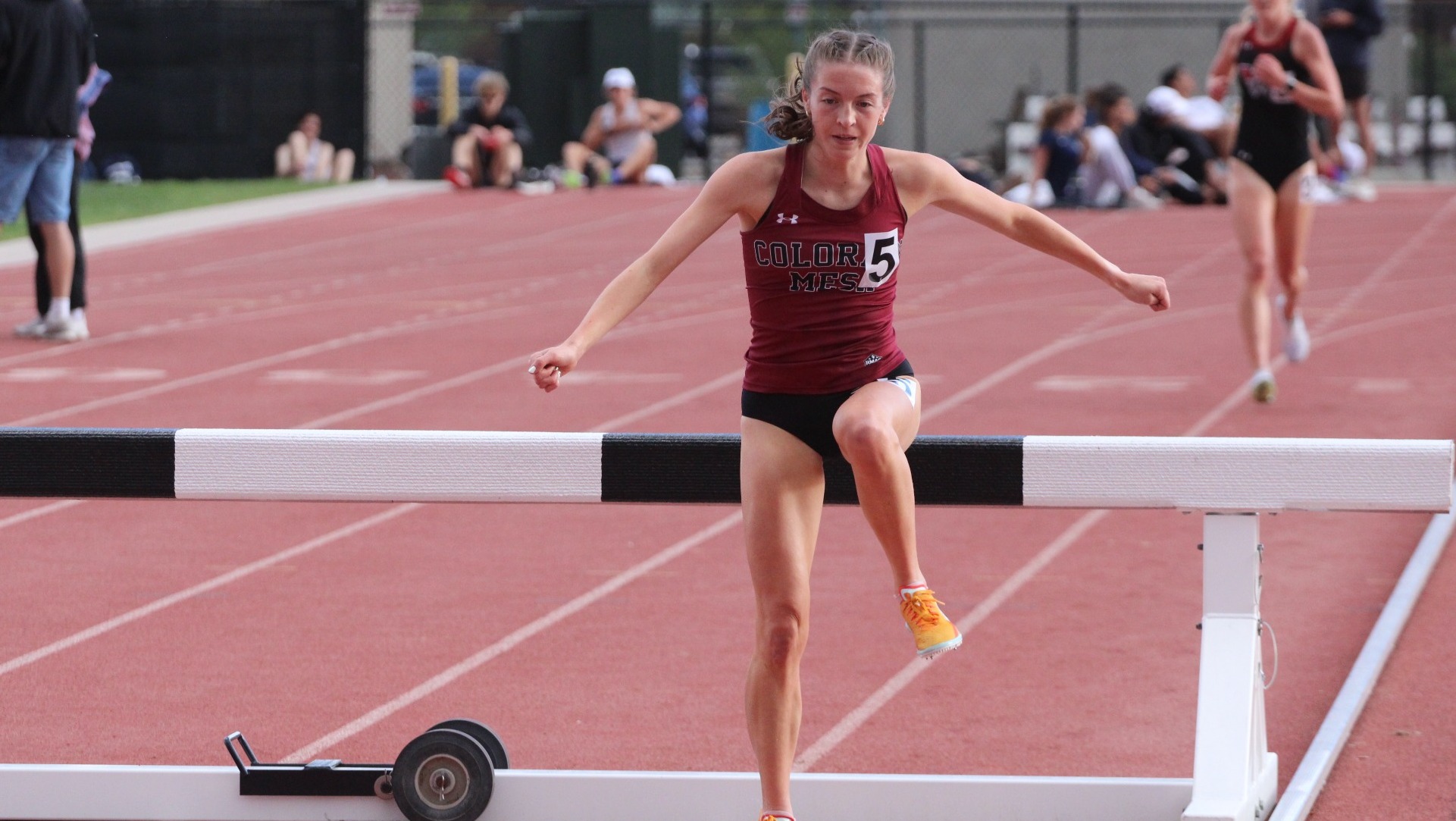 Weaver-SteepleBarrier