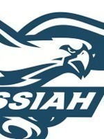 Head Shot - Falcons