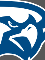 falcon_hs