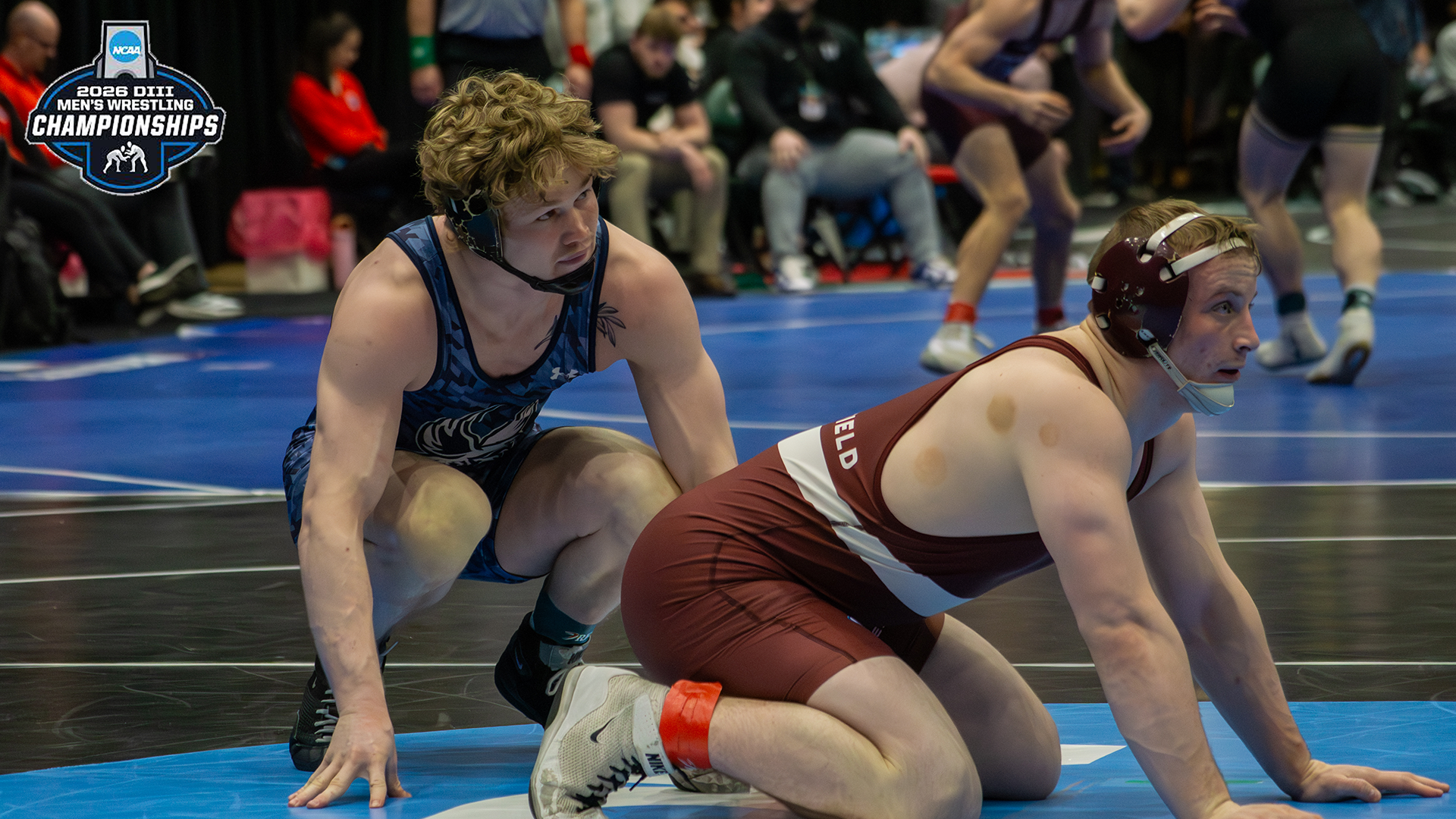0313 WREST Article