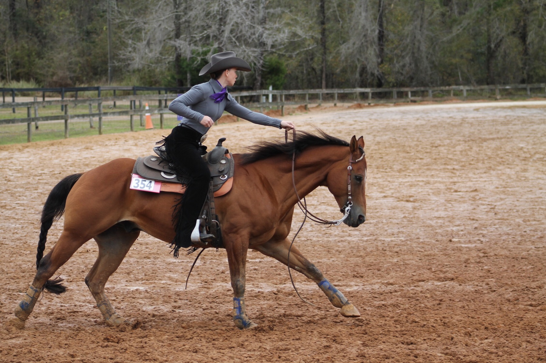 Equestrian Receives Team Reserve High Point, Wilder Earns High Point Rider at FSU Show Middle