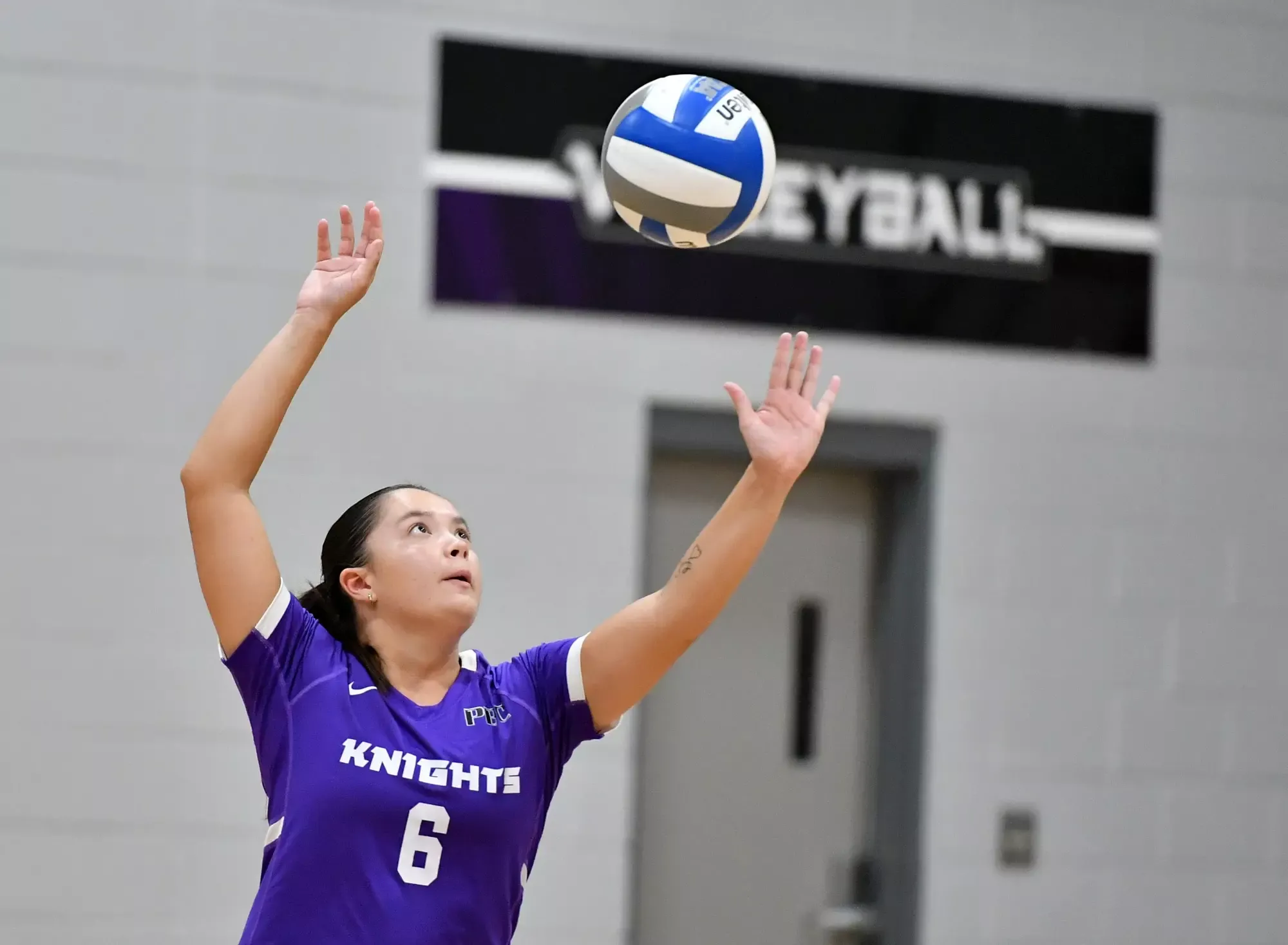 WVB