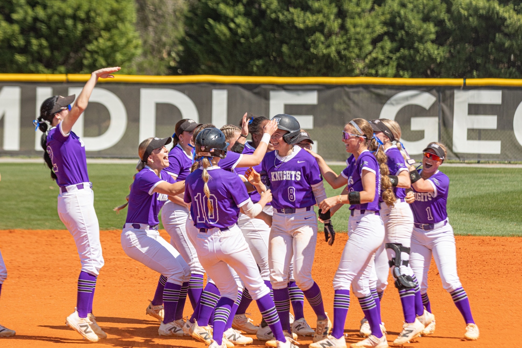 Softball Celebration