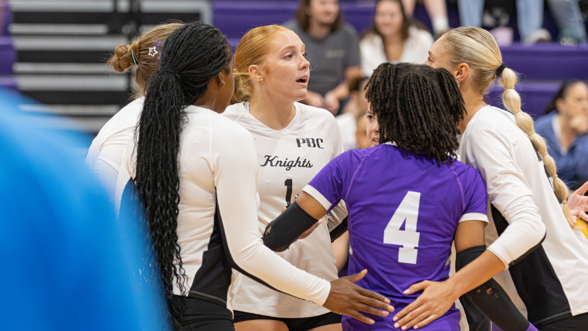 WVB