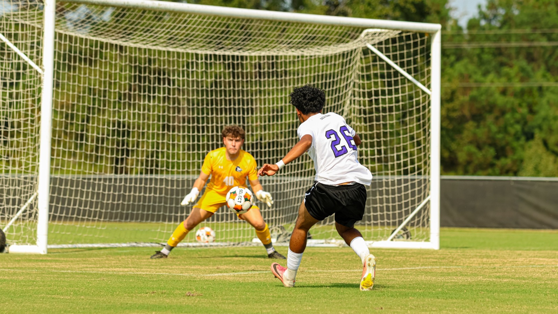 MSOC