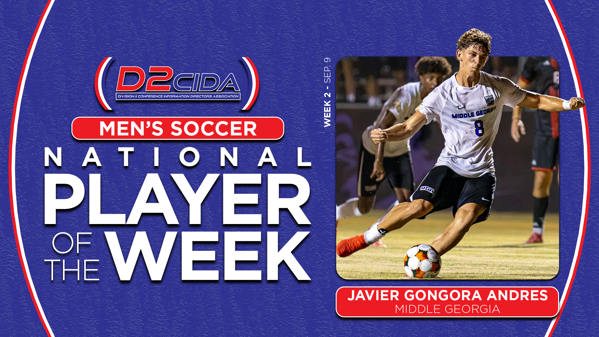 Gongora NPOTW