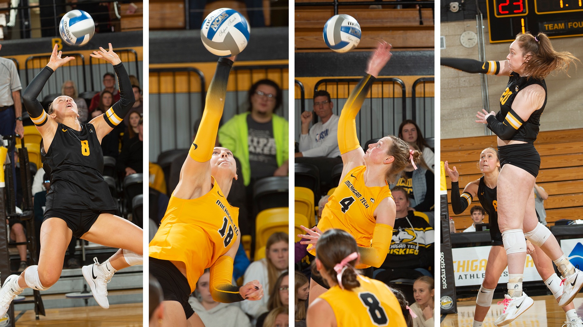 volleyball all-gliac selections