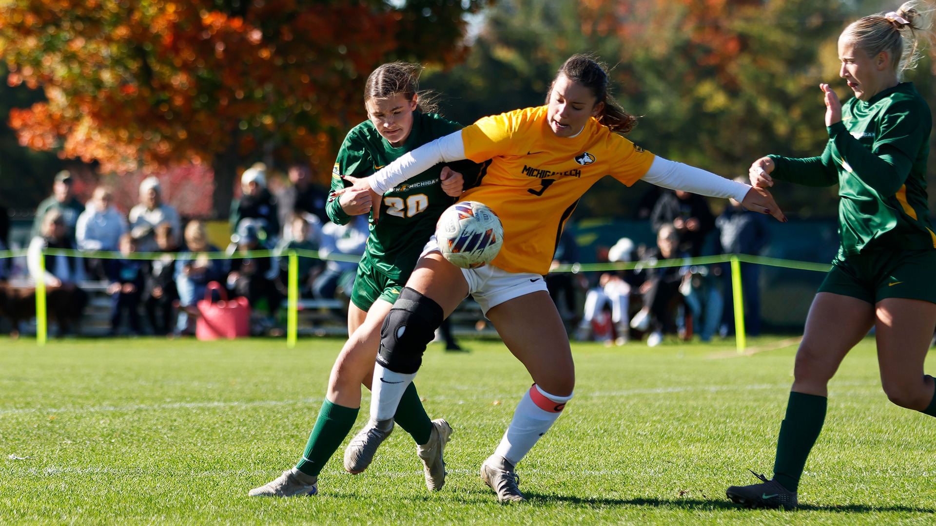 NMU recap