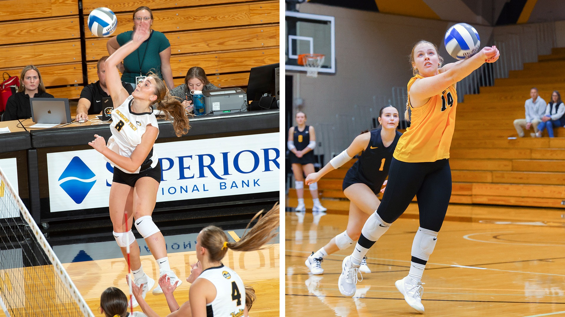Volleyball Players of the Week