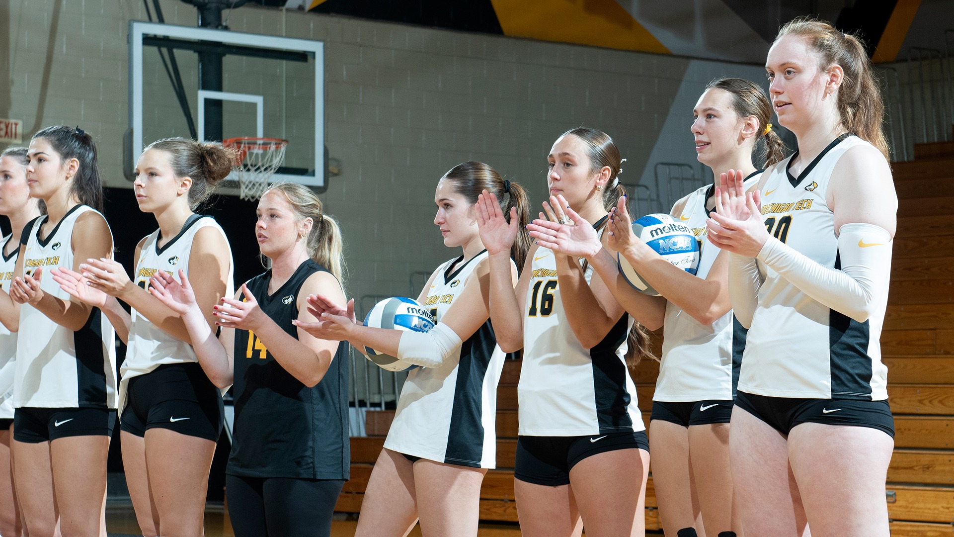 Volleyball Lineup