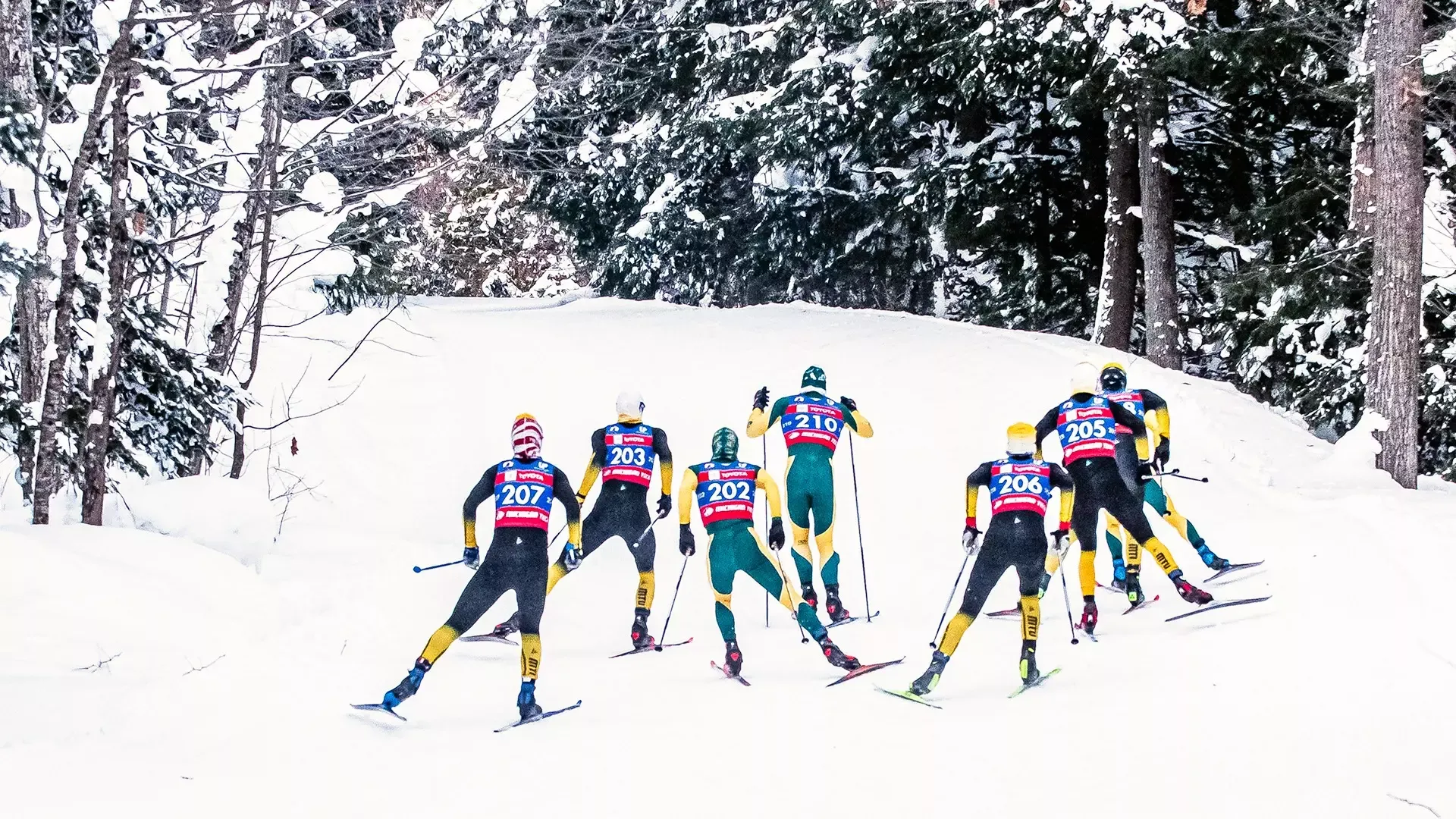 Men's Nordic Skate