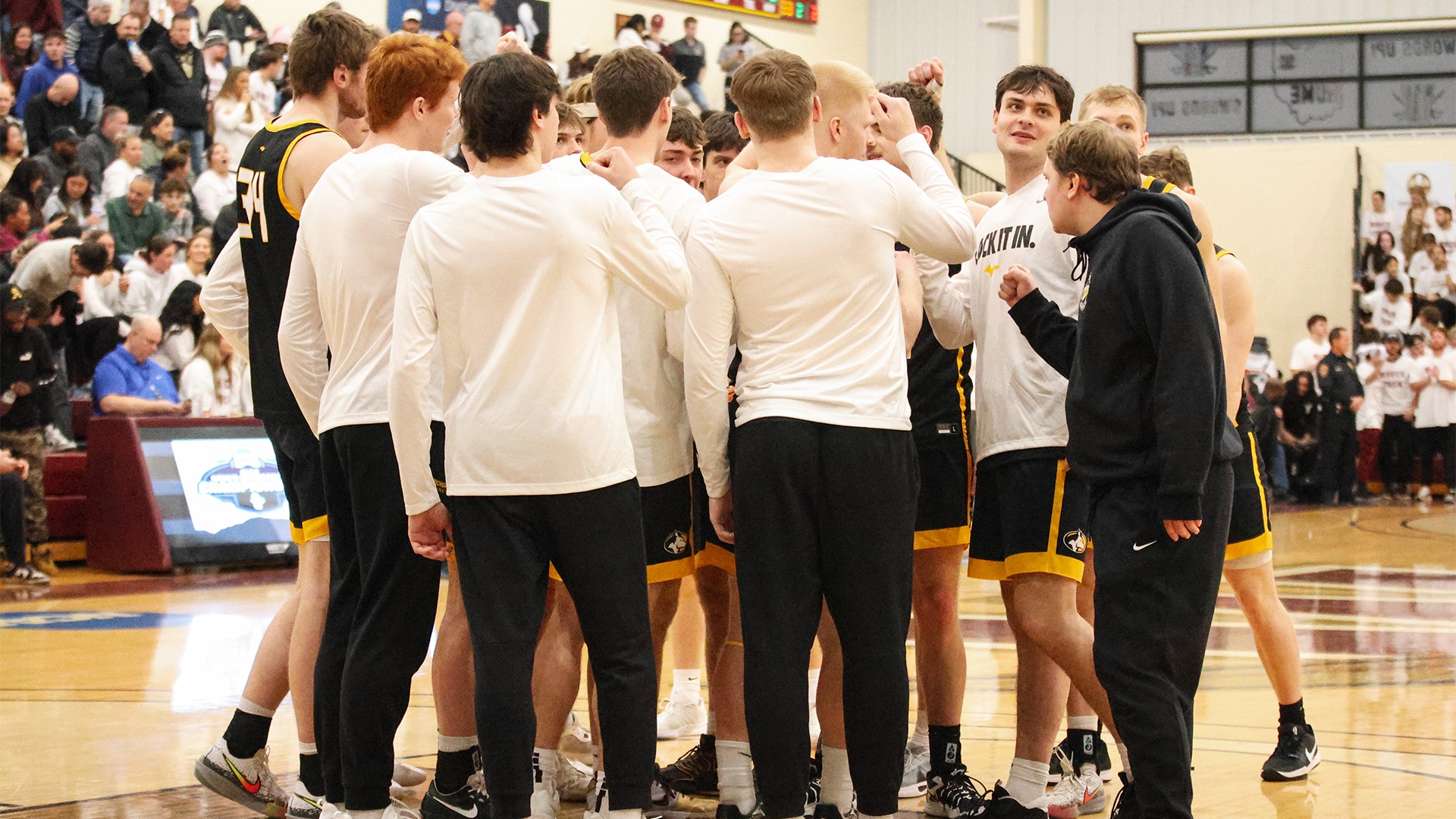 Walsh Highlights (MBB Team)