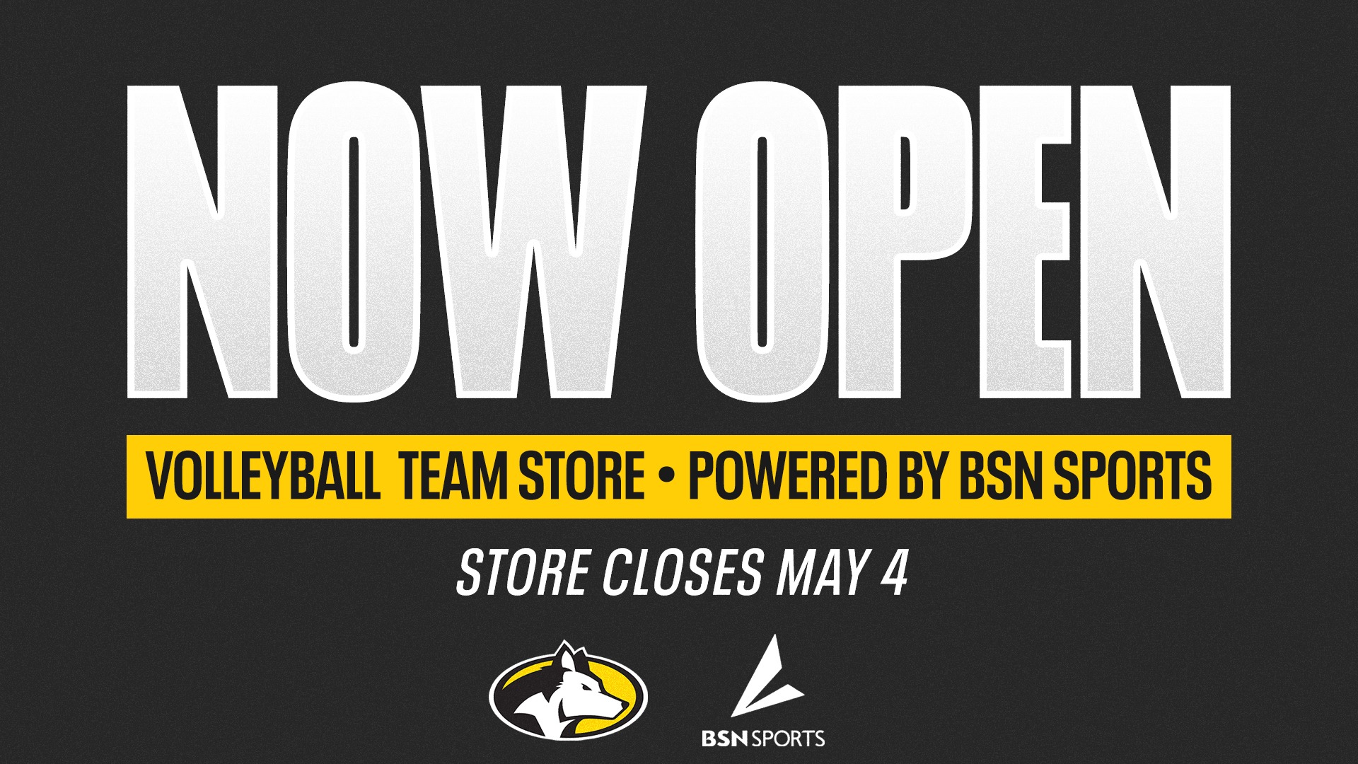 Volleyball Team Store Graphic