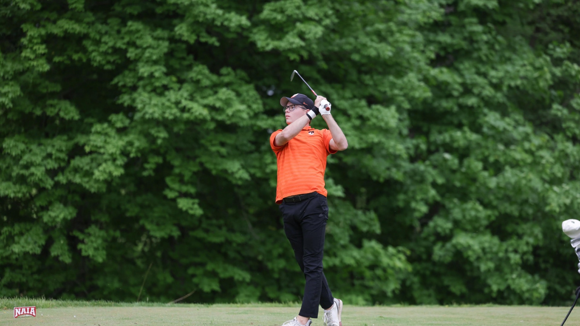 Francisco de Bethencourt Final Round NAIA Championships Recap Photo 2026