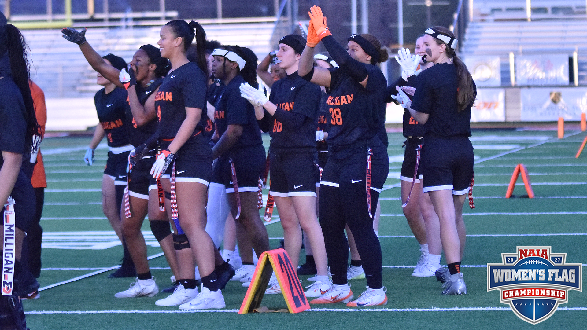 NAIAFLAGChampionshipSport