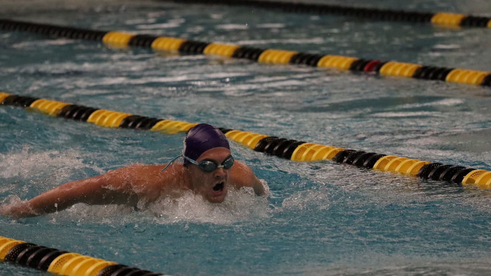  Payton Jones Swimming & Diving at SAA Championships 2-12/15-25