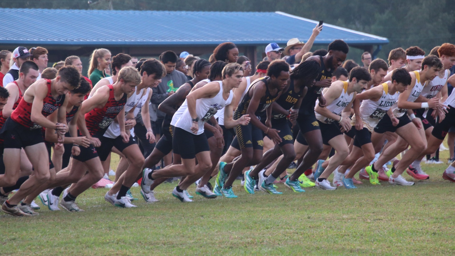 Men's Cross Country at Watson Collegiate Classic 10-17-25