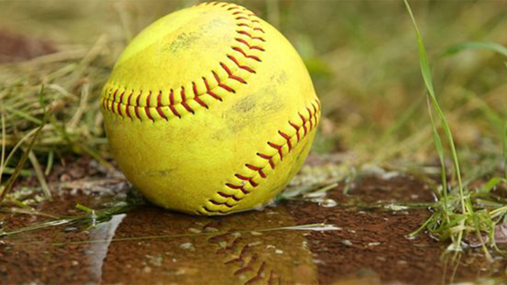 Weather Forces Softball Schedule Changes MSU Athletics