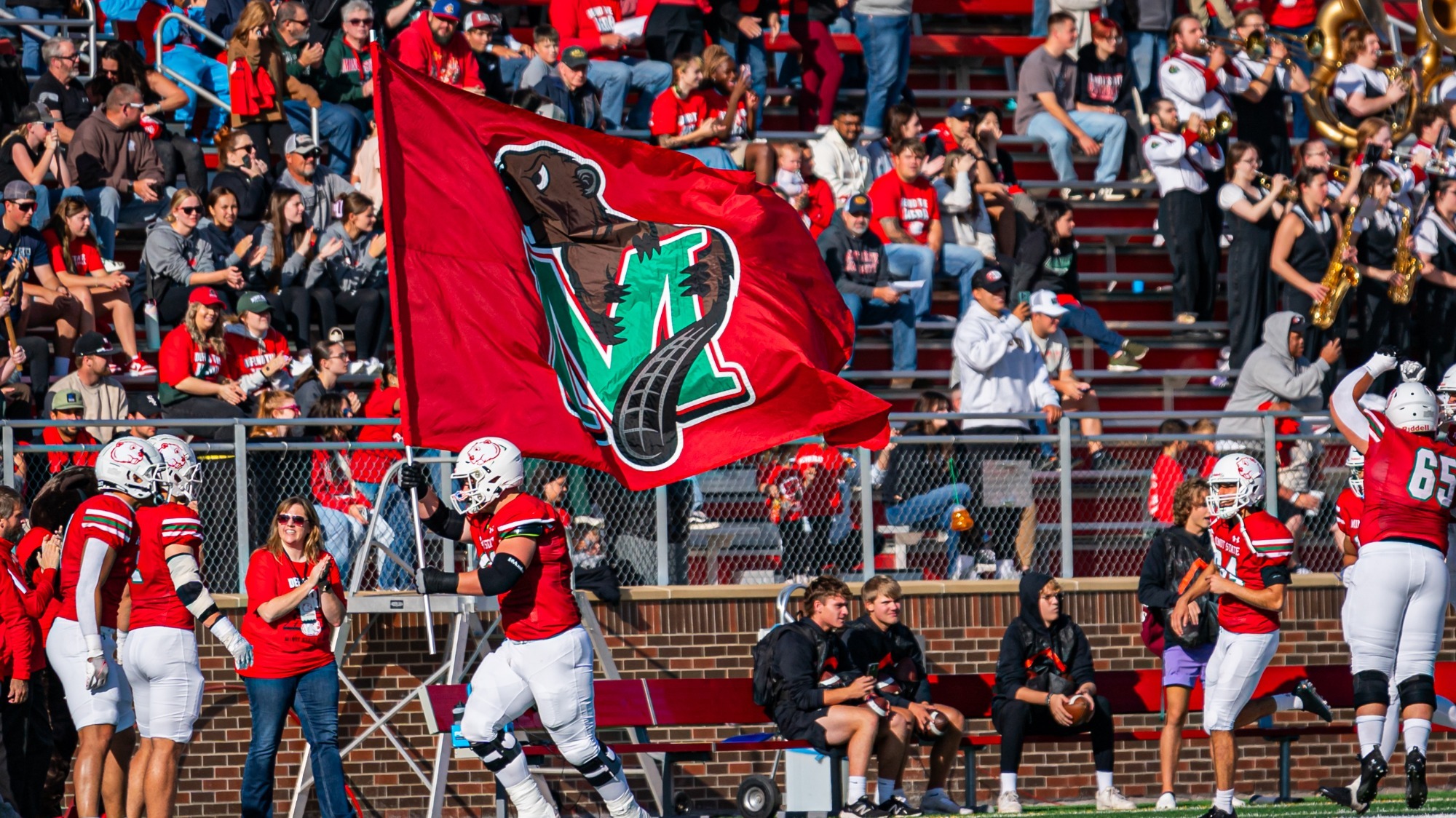 football with beaver flag
