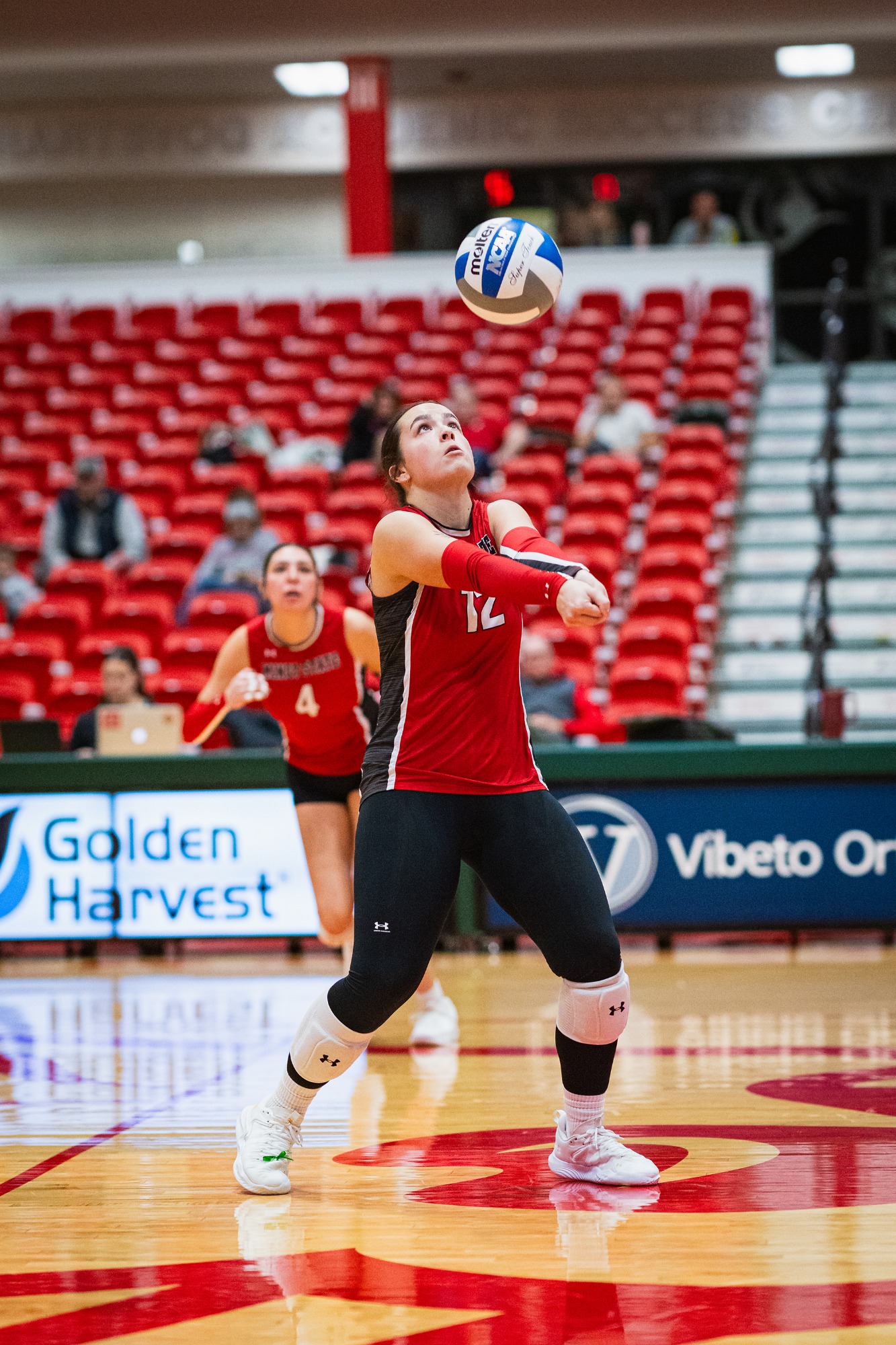 Minot State Volleyball vs Augustana - Captured at MSU Dome on Nov 08, 2025 in Minot, North Dakota Photo by Sean Arbaut