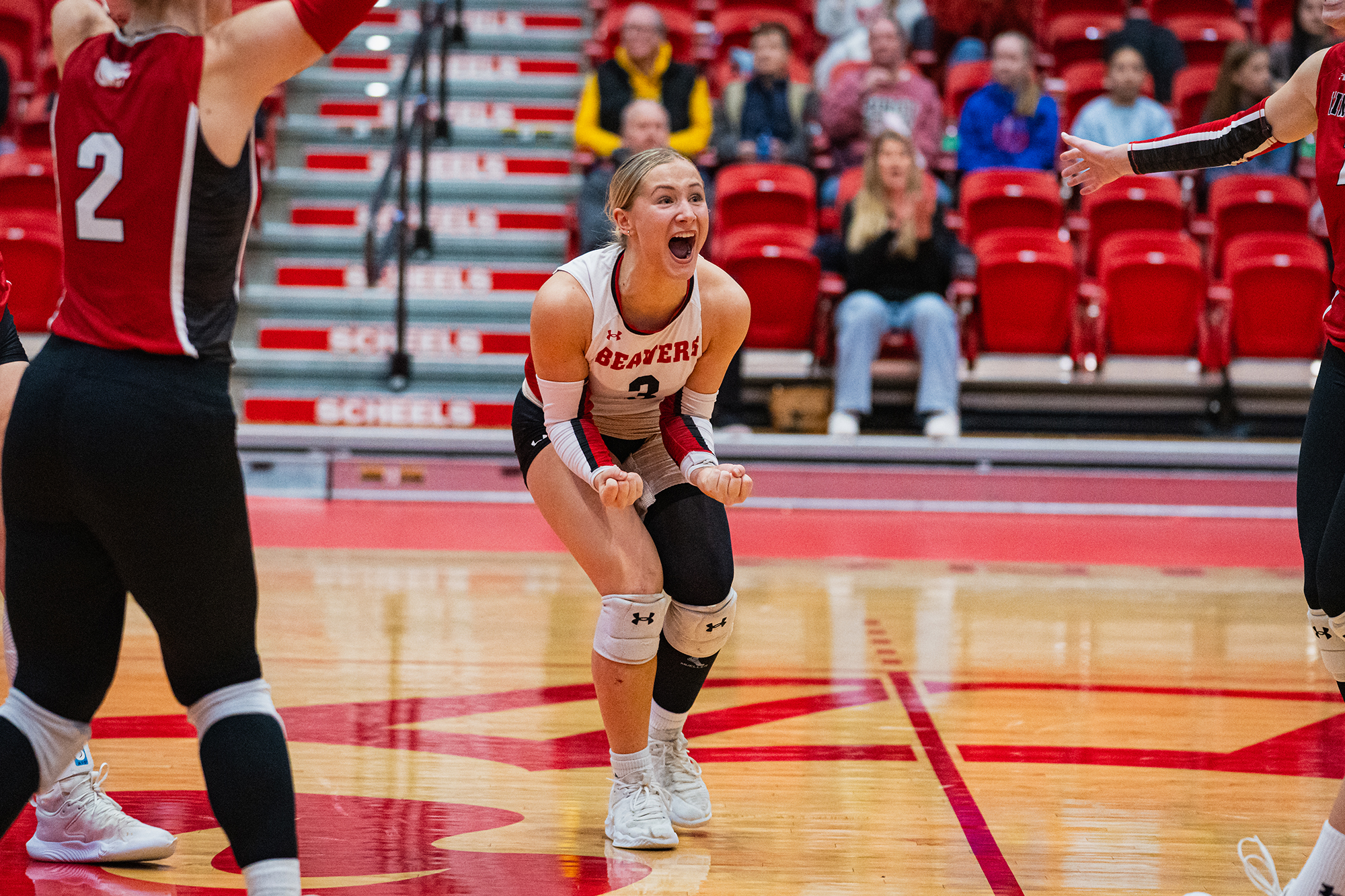 Minot State Volleyball vs Augustana - Captured at MSU Dome on Nov 08, 2025 in Minot, North Dakota Photo by Sean Arbaut