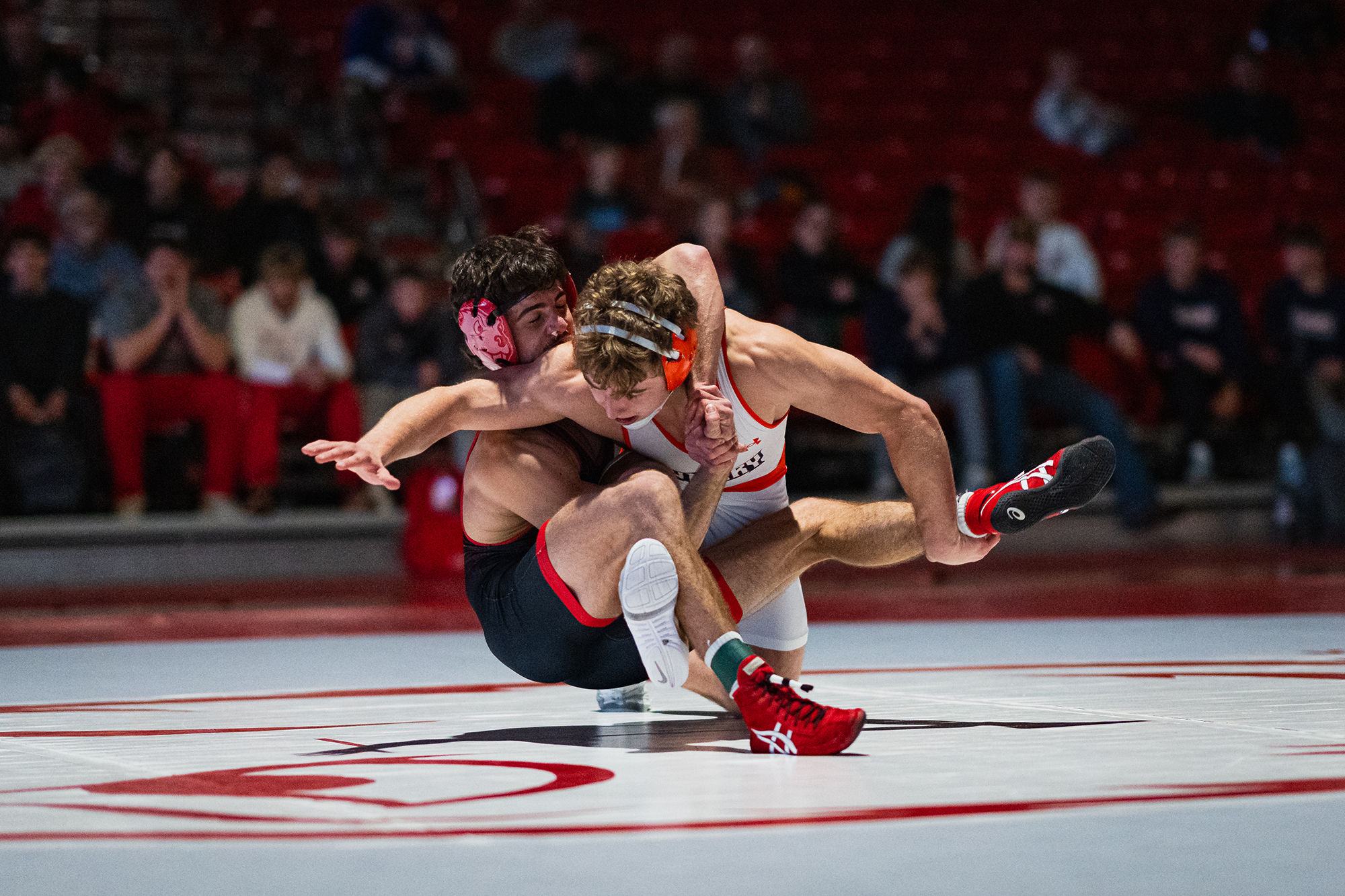 Minot State Men’s Wrestling vs UMary - Captured at MSU Dome on Dec 05, 2025 in Minot, North Dakota Photo by Sean Arbaut