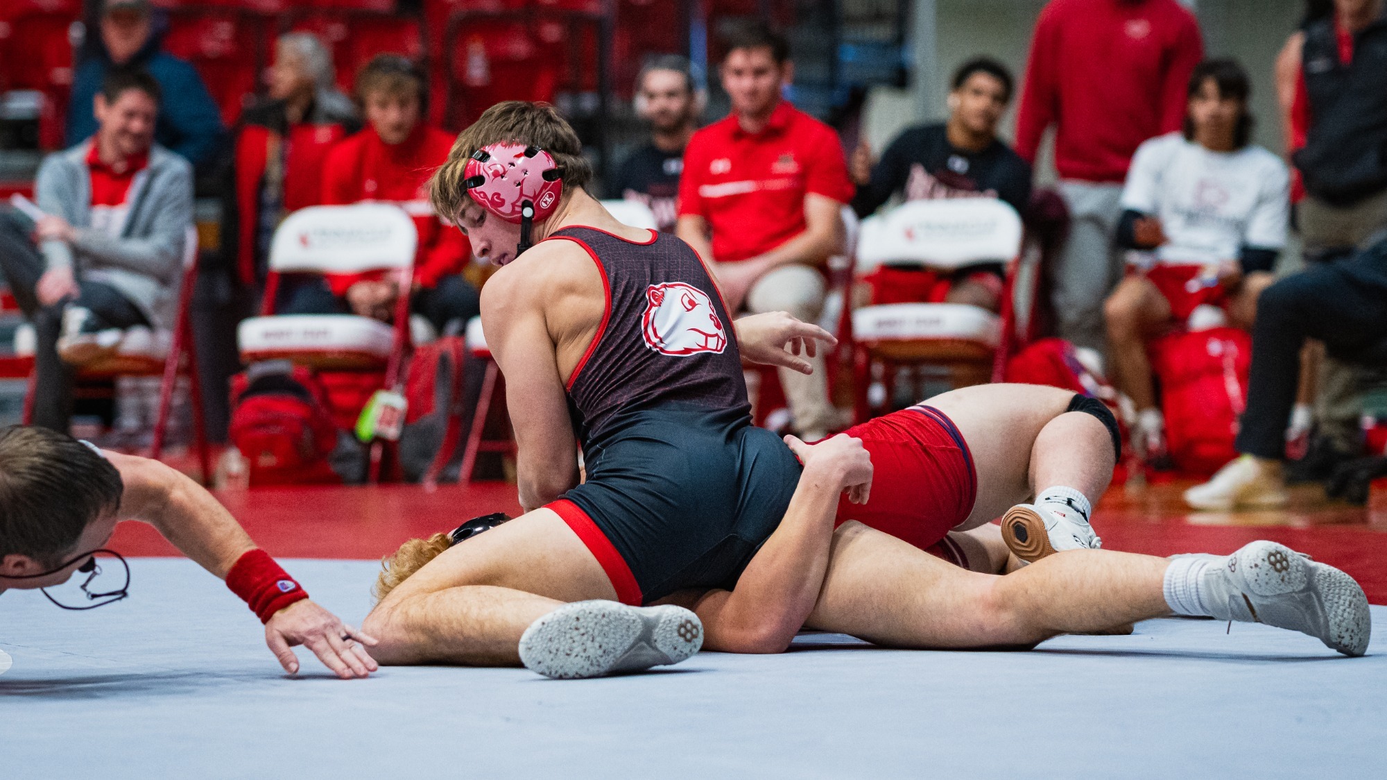 Men's wrestler in beaver bash