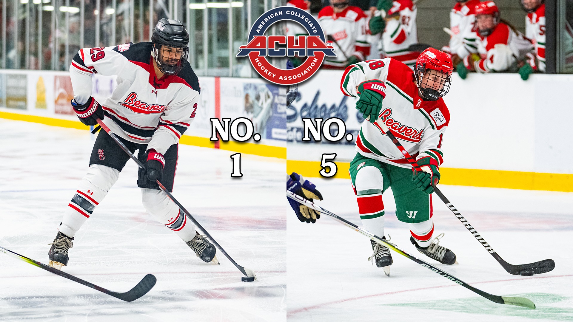 ACHA poll graphic copy January 21