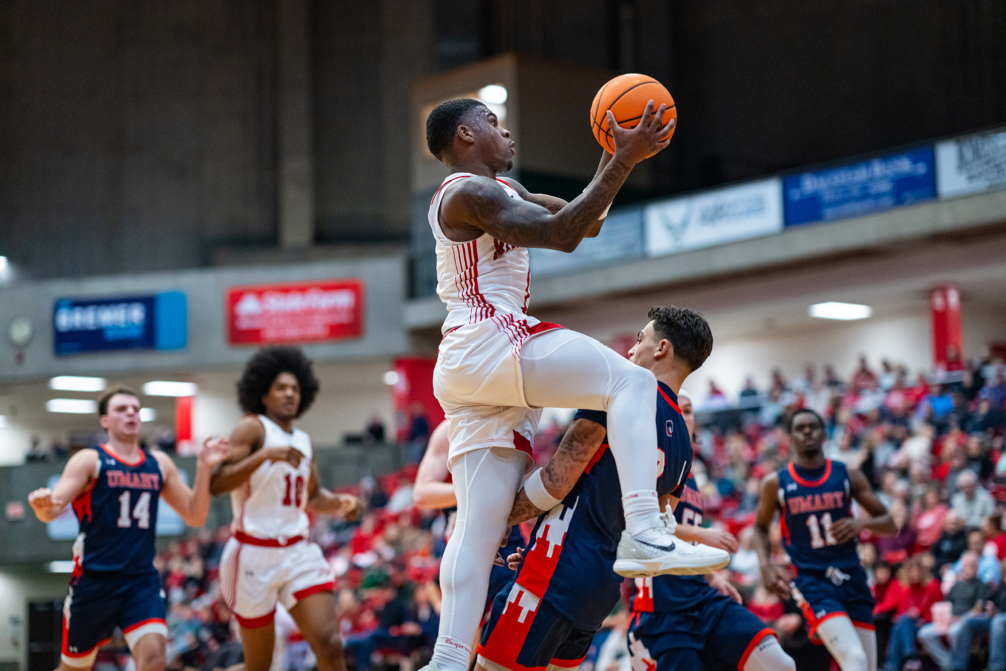 Minot State Men’s Basketball vs UMary - Captured at MSU Dome on Jan 03, 2026 in Minot, North Dakota Photo by Sean Arbaut