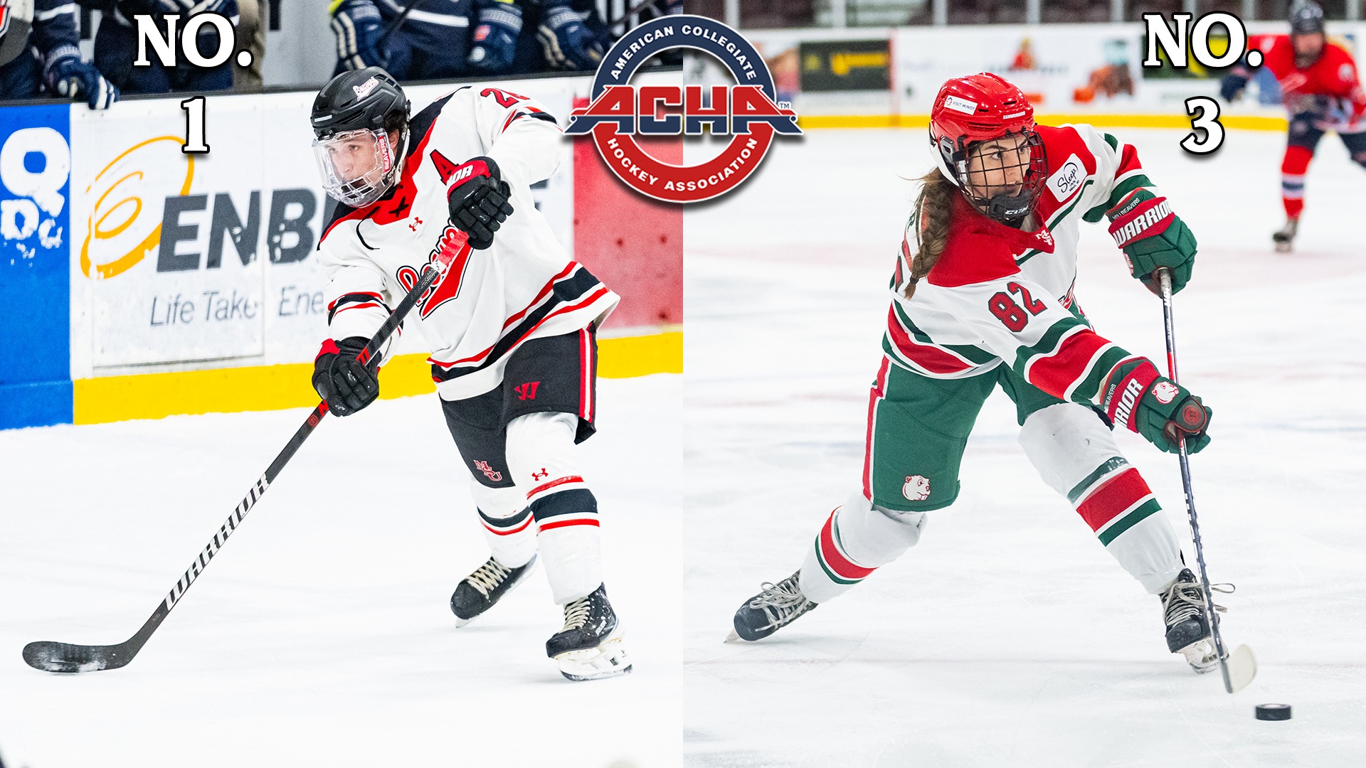 ACHA poll graphic February 11