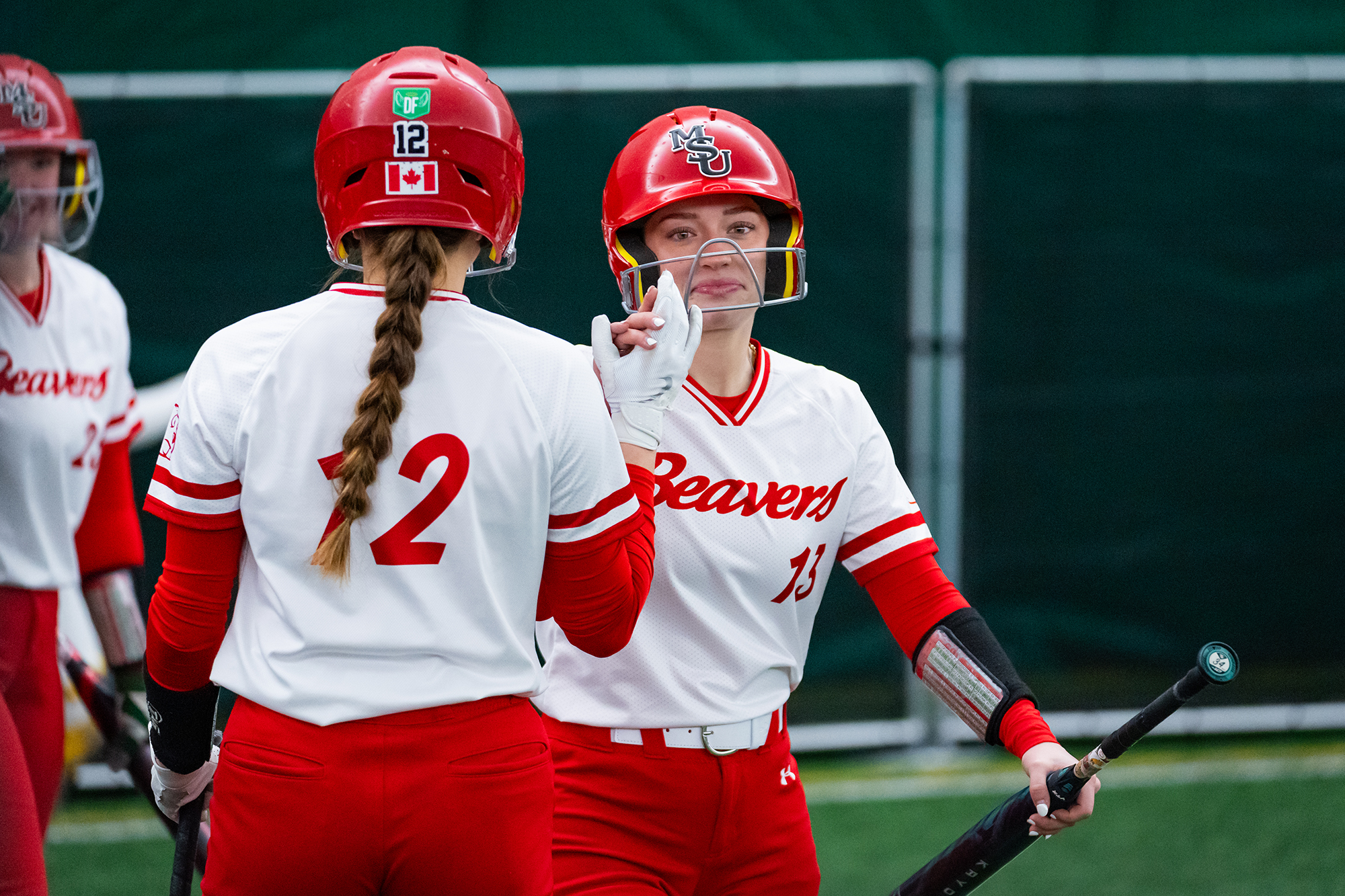 Minot State Softball vs MSUBCaptured at Air Supported Dome on 2026, Jan  30 By Sean Arbaut - Arbaut Photography LLC