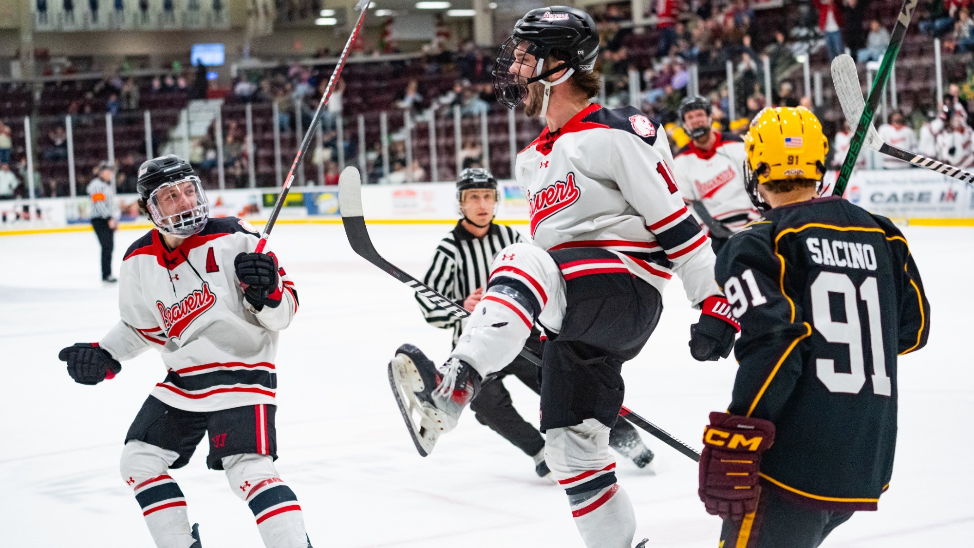 Minot State men's hockey players celebrates a goal against Calvin