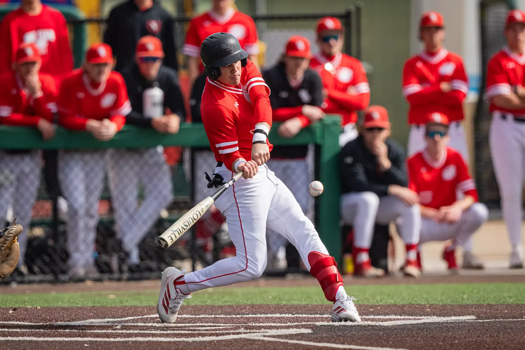 Colton Bagshaw batting